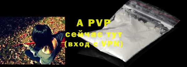 трава Инта