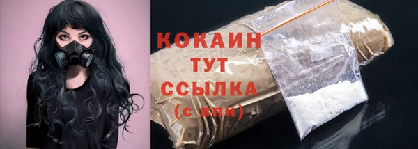 PSILOCYBIN Инсар