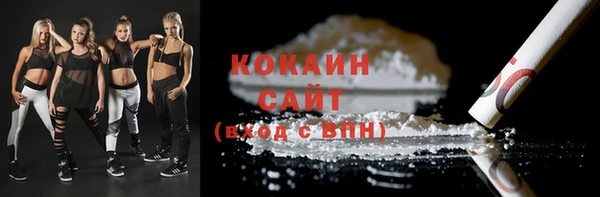 спиды Каменка