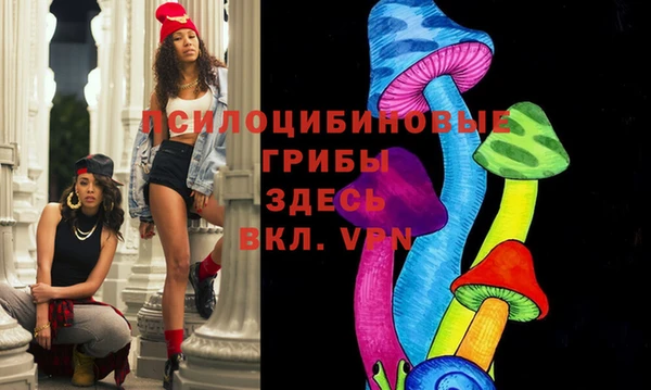 спиды Каменка