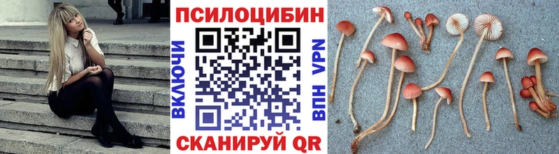 Купить где Новодвинск Псилоцибиновые грибы мицелий